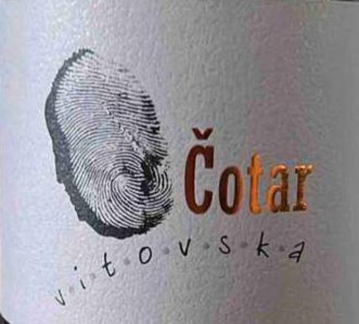 Vitovska - Čotar - branko-vasja-cotar 