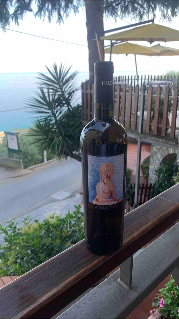 Assentada - Azienda Vinicola Falzari - sergio-falzari -2019