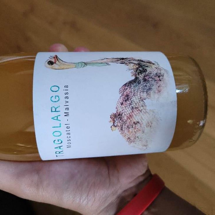 Tragolargo 2021 - Bodegas Bernabé Navarro SL - rafa-bernabe -2021