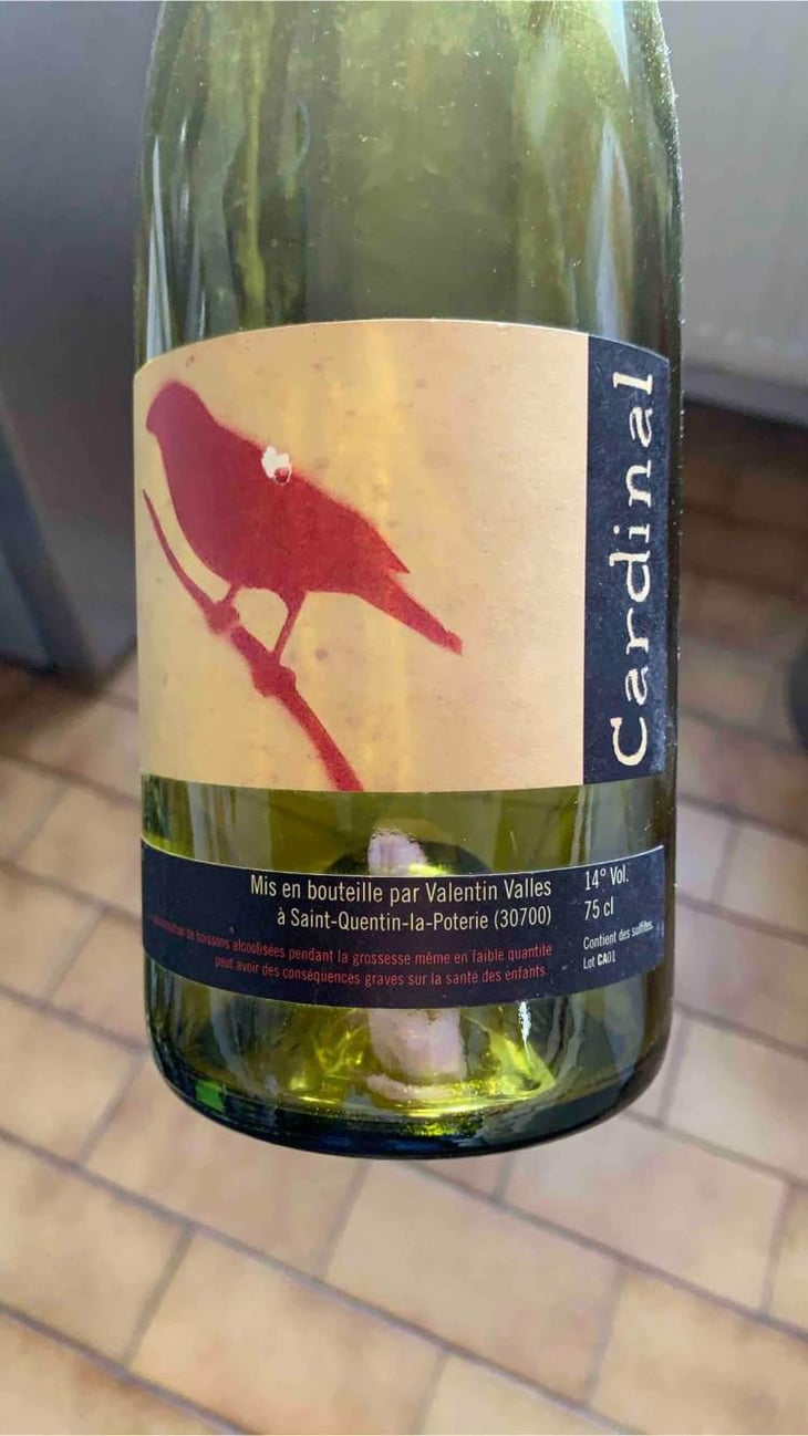 Cardinal - Valentin Valles - valentin-valles 