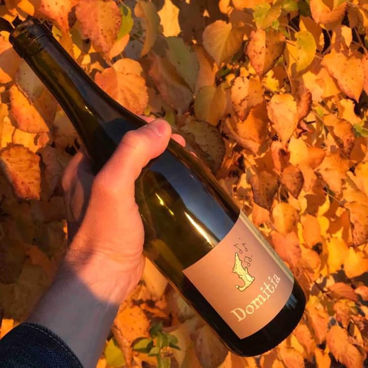 Domitia - Jaja Land - philippe-pibarot 