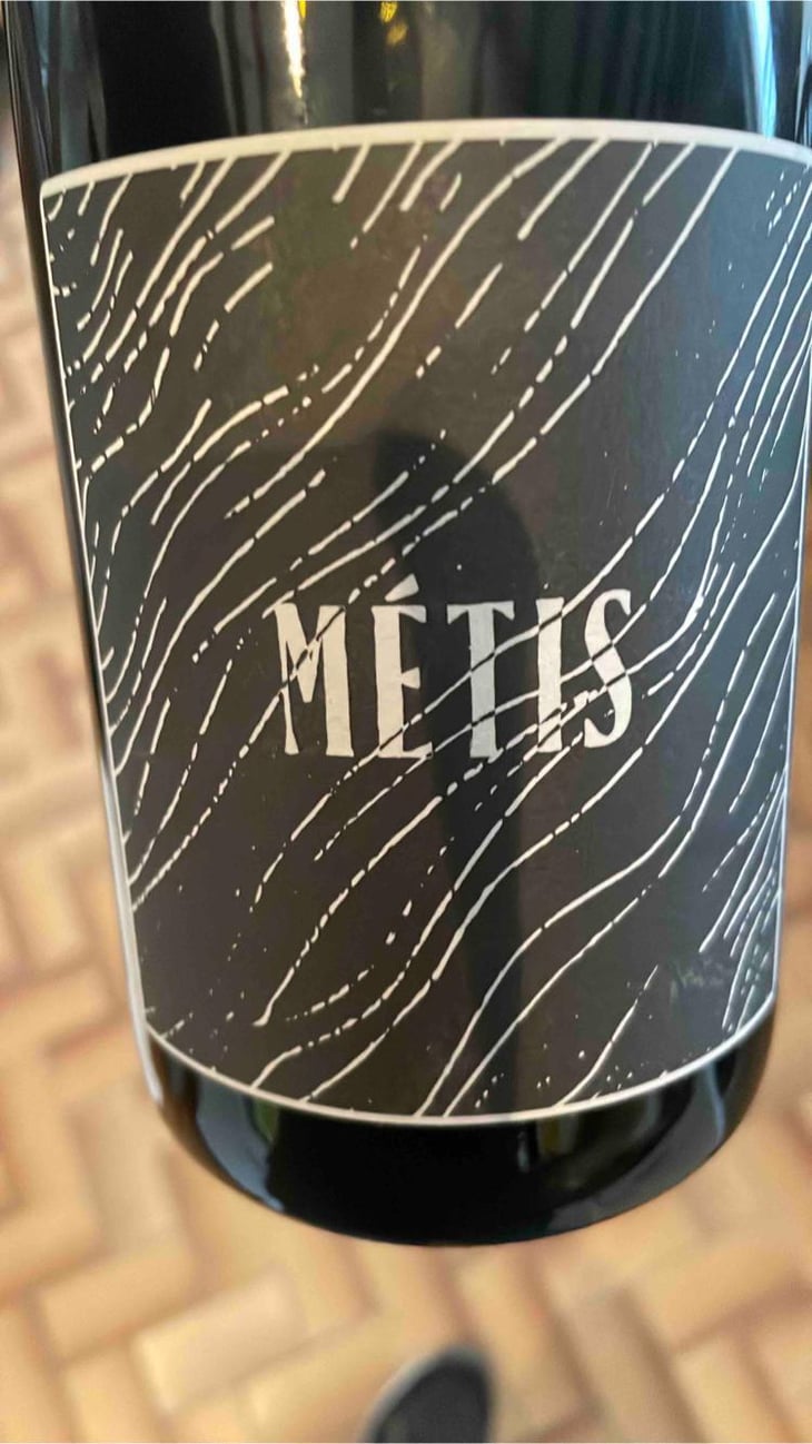 Metis - l’Abri - franck-pasquier -20