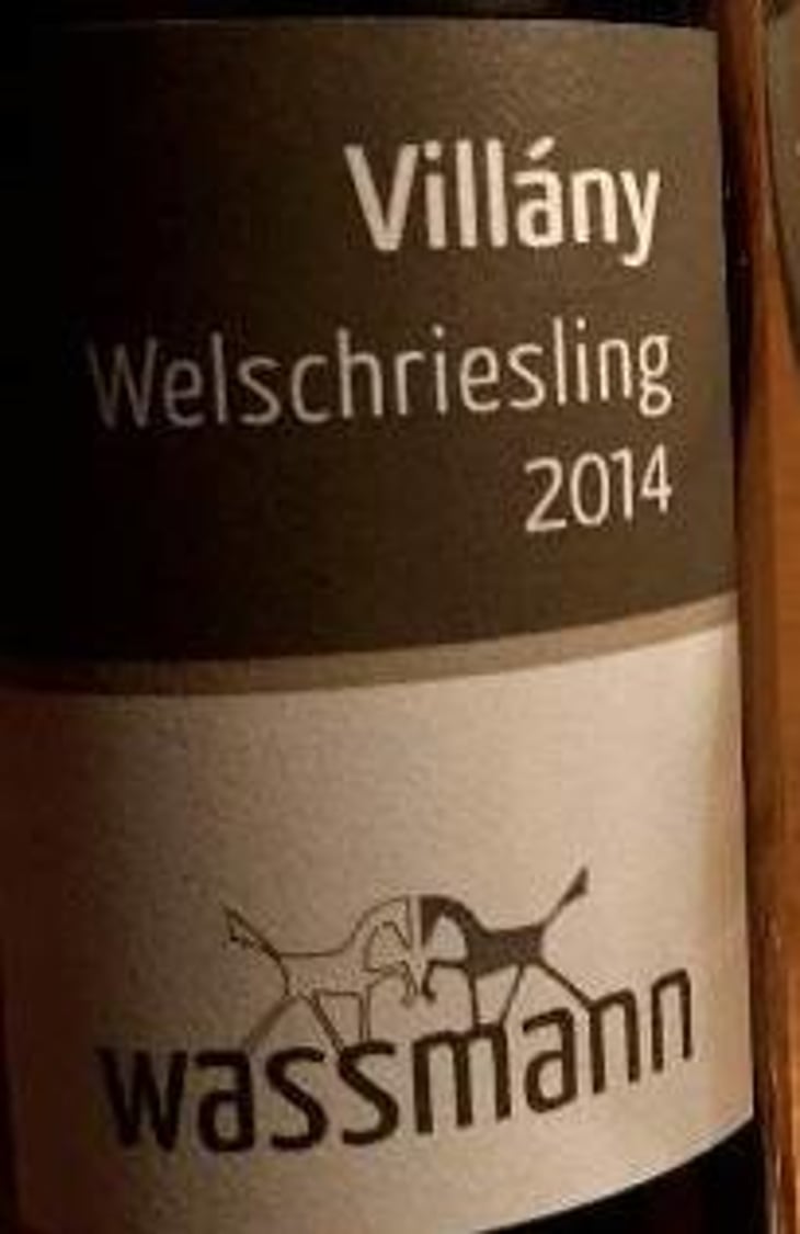 Welschriesling - Weingut Wassmann - susann-hanauer-ralf-wassmann 