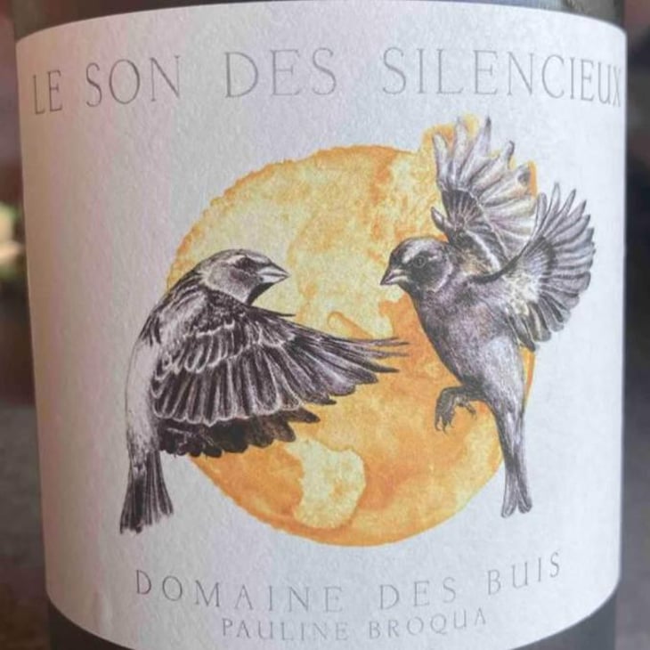 Le Son Des Silencieux - Domaine des Buis - pauline-broqua 