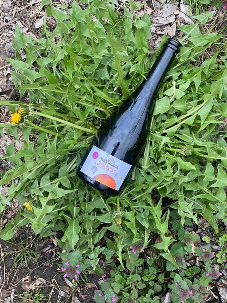 Blanc De Franc Petillant Naturel - Weingut Wassmann - susann-hanauer-ralf-wassmann -2021