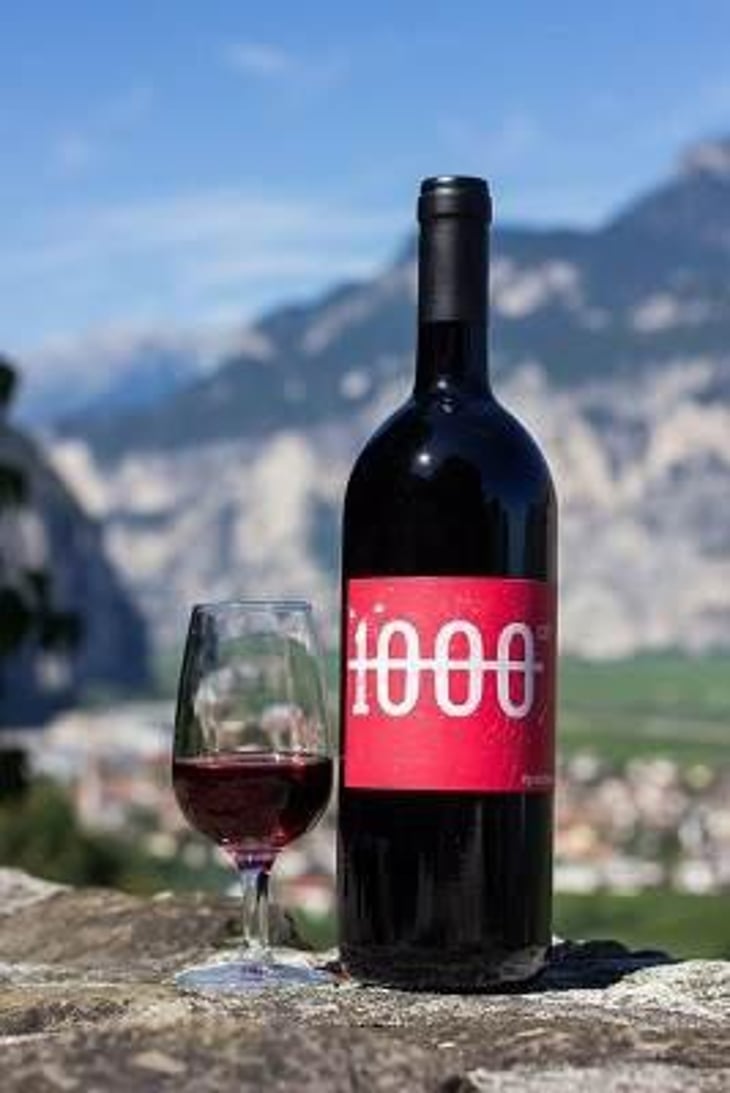 1000cm3 Vino Rosso - Ansitz Dornach - patrick-karoline-uccelli 