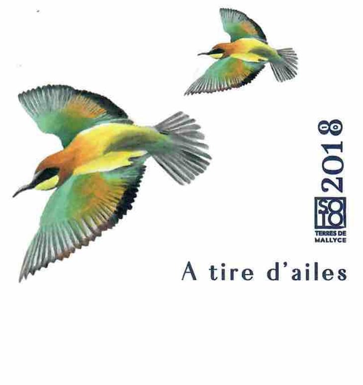 A tire d'ailes - Domaine Les Terres De Mallyce - corinne-yves-soto 