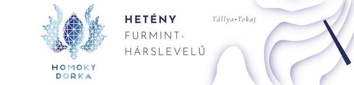 Hetény - Homoky Dorka - dorka-homoky 