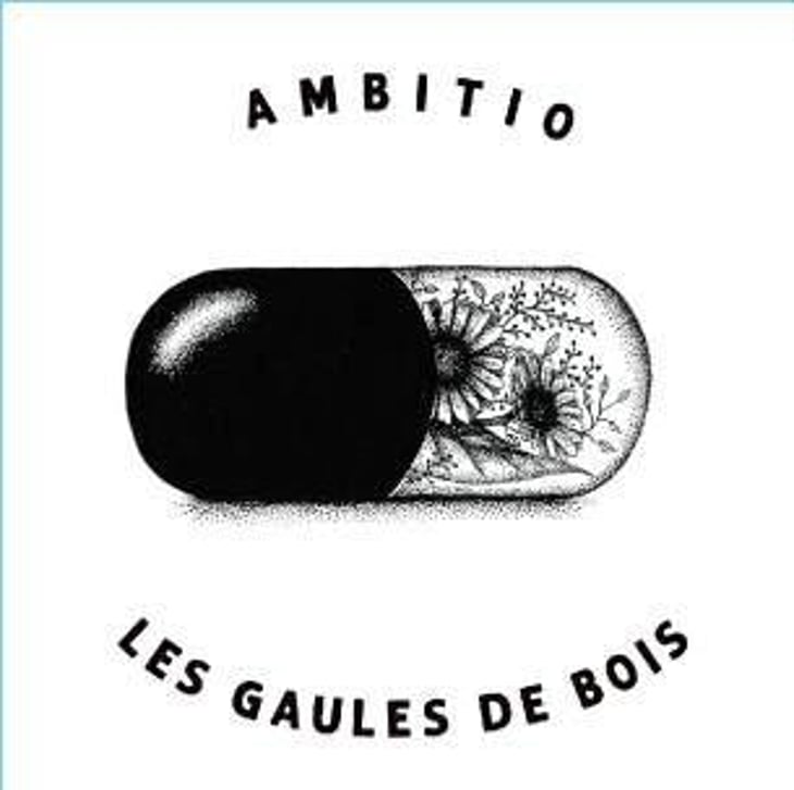 Acte II - Les Gaules De Bois - romuald-cousy-vincent-alexis 