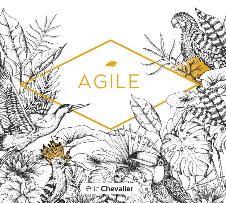 Agile «chez Boucard» - Eric Chevalier Vigneron - gaelle-et-eric-chevalier 