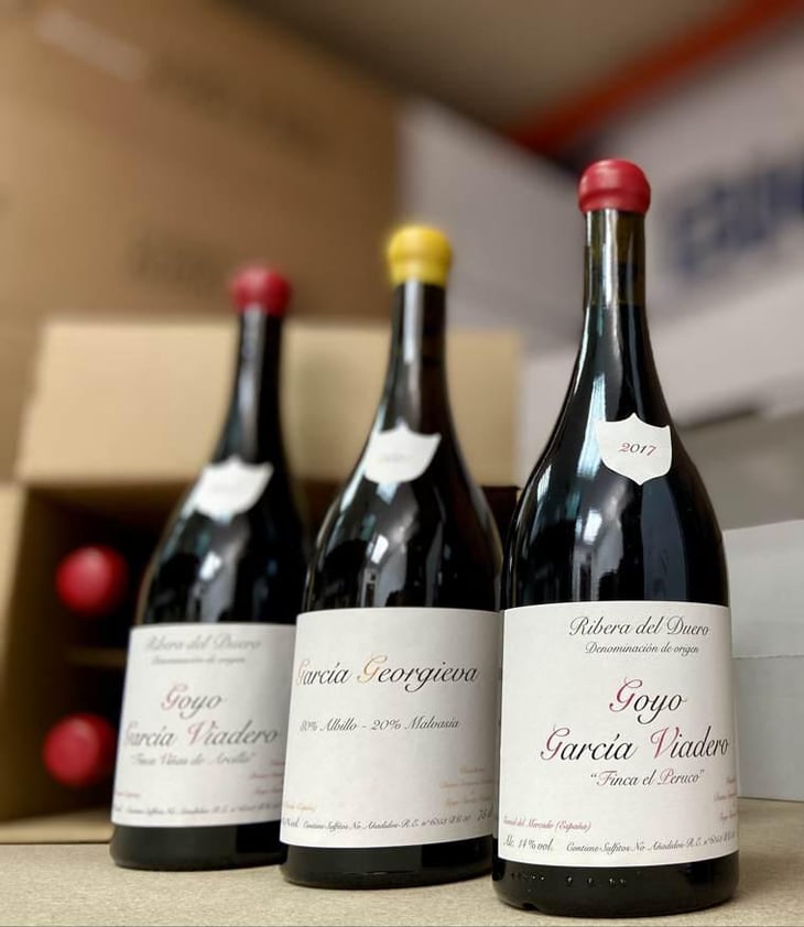 Albillo-Malvasia - Goyo Garcia Viadero - goyo-garcia-viadero -2021