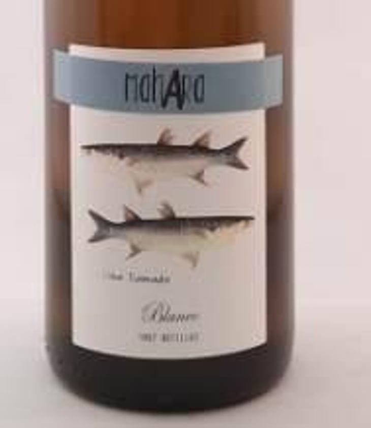 Albur - Bodega Vinificate - Mahara Viticultores - jose-miguel-gomez 