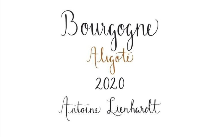 Bourgogne Aligoté (Label from 2020) - Antoine Lienhardt - antoine-lienhardt 