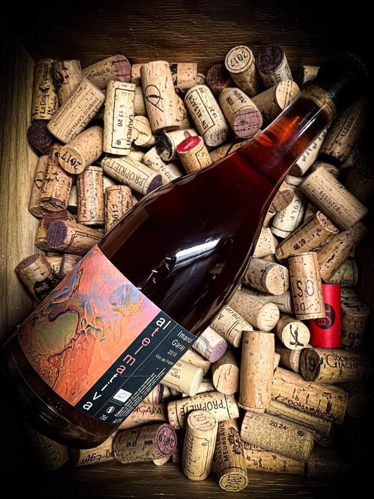 Altelmativa - Imanol Garay - imanol-garay -2019