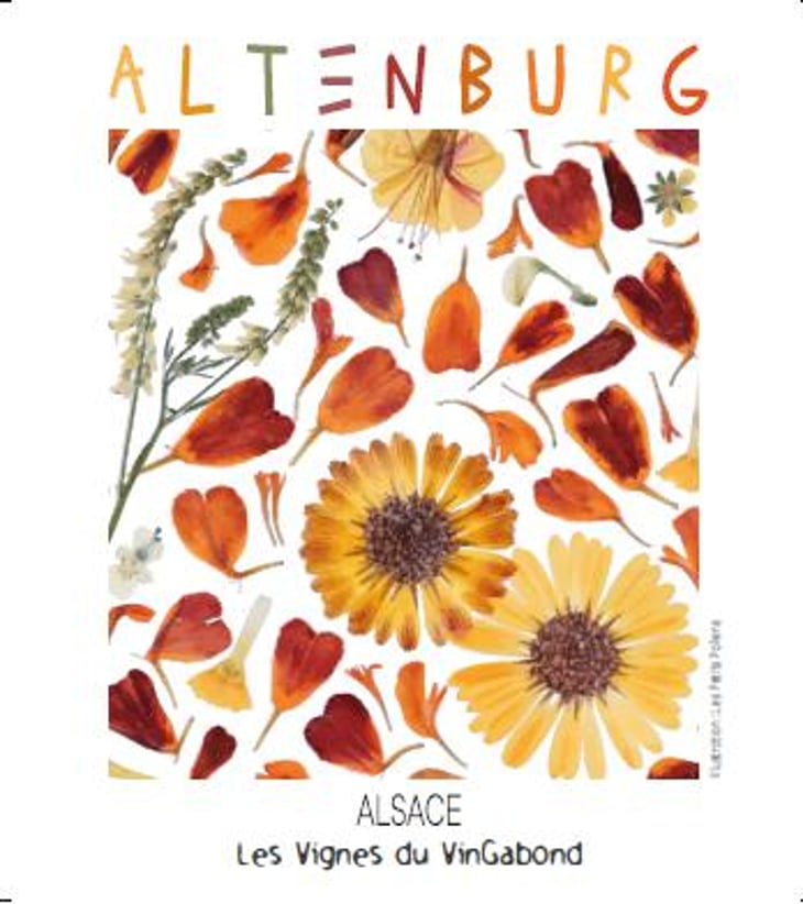 Altenburg Gewurztraminer - Les Vignes du Vingabond - florian-spannagel -2023