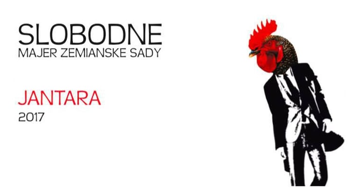 Jantara - Slobodné Vinárstvo - Majer Zemianske Sady - michal-kuropka-agnes-lovecka-katarina-kuropkova 