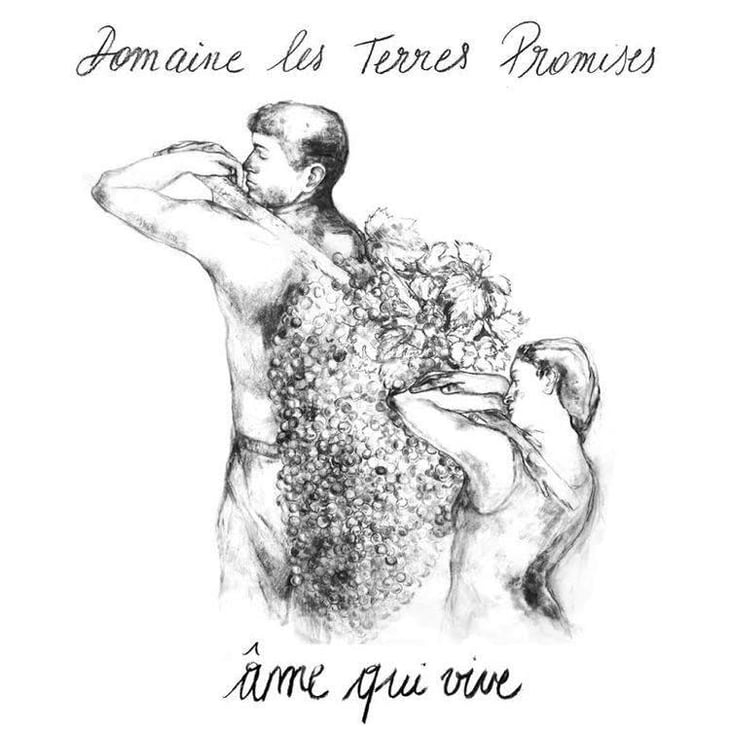 Âme Qui Vive - Les Terres Promises - jean-christophe-comor 