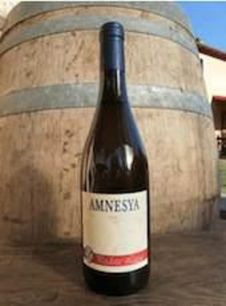 Amnesya - Podere Luisa - sauro-burzagli-e-romina-erbosi 