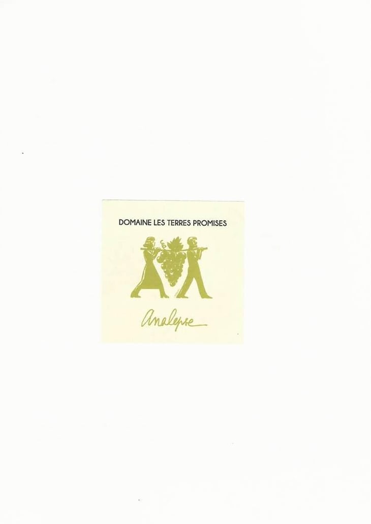 Analepse - Les Terres Promises - jean-christophe-comor 