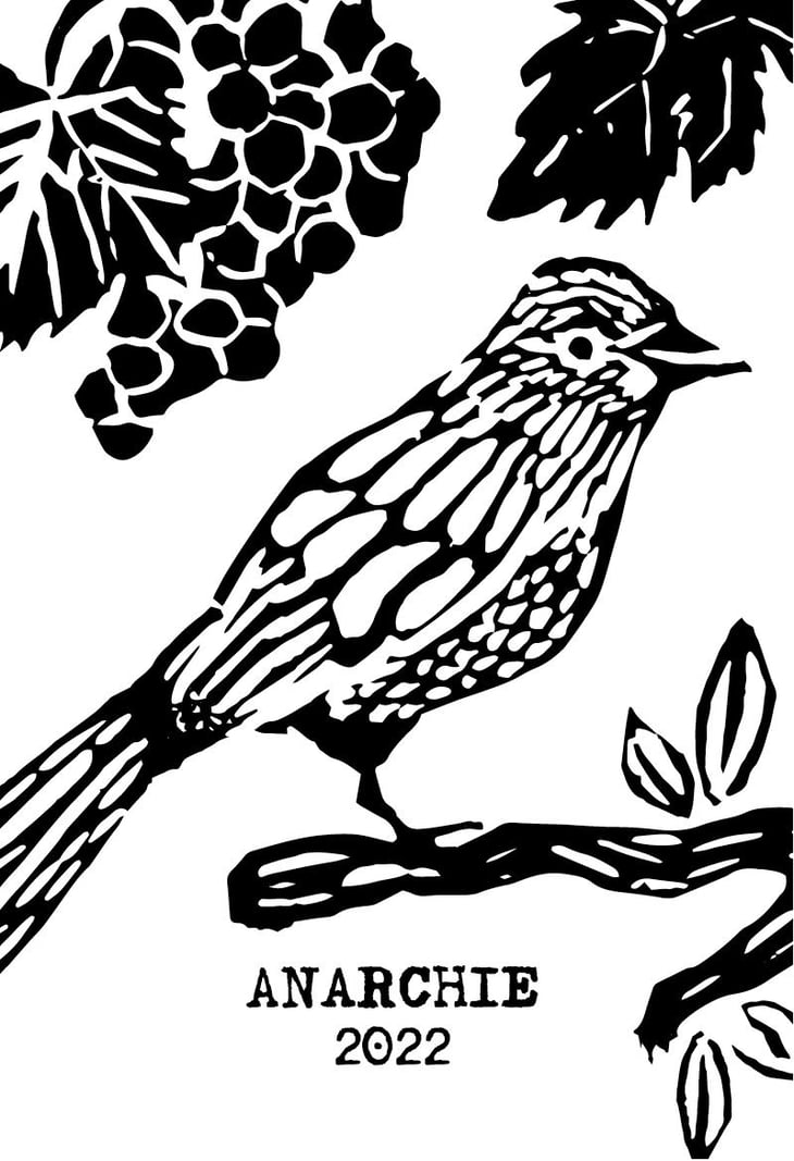 Anarchie - Domaine Pascal Treichler - pascal-treichler -2022