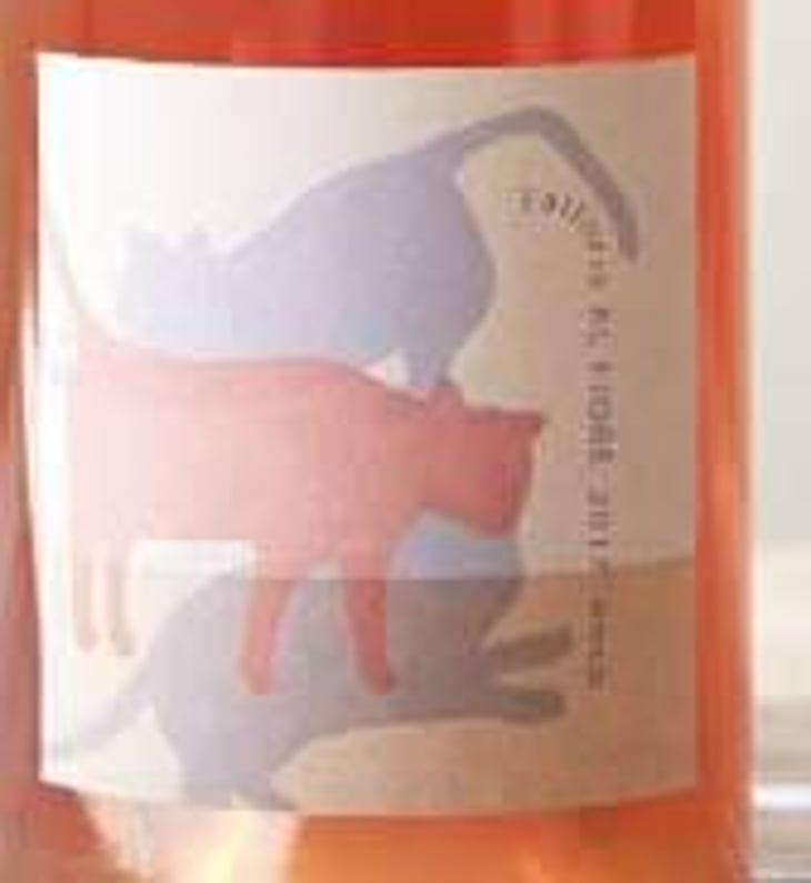 Anco - Fattoria Al Fiore - hirotaka-meguro 