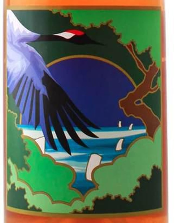 Anfora Arancione - Grape Republic Inc. - haruyuki-yano 