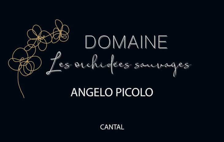 Angelo Piccolo - Les Orchidées Sauvages - sebastien-lavaurs 