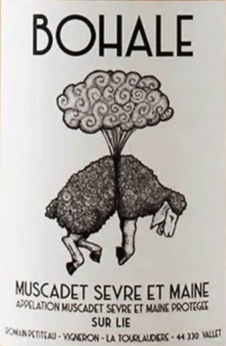 Bohale - Domaine de la Tourlaudière - romain-petiteau 