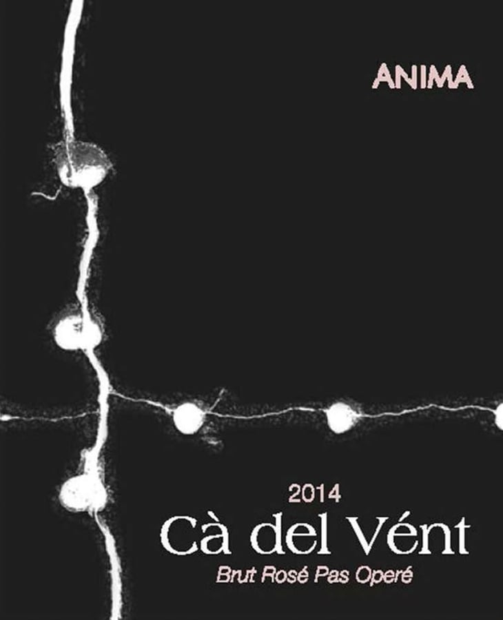 Anima (Brut Rosé Pas Operé) - Cà del Vént - antonio-tornincasa-flavio-faliva 