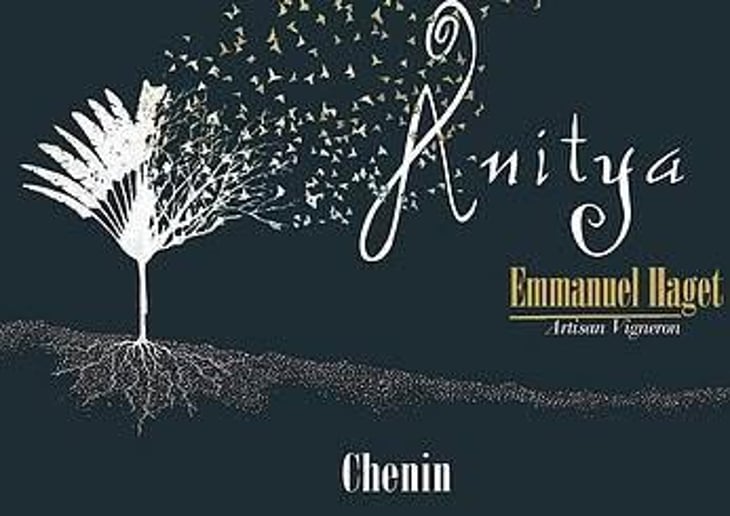 Anitya - Emmanuel Haget - emmanuel-haget 