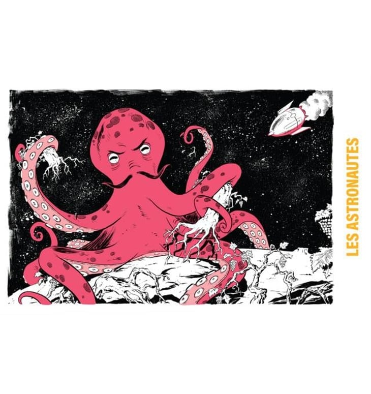 Alter Ego - Les Astronautes - emmanuelle-haas-fredy-mestre 