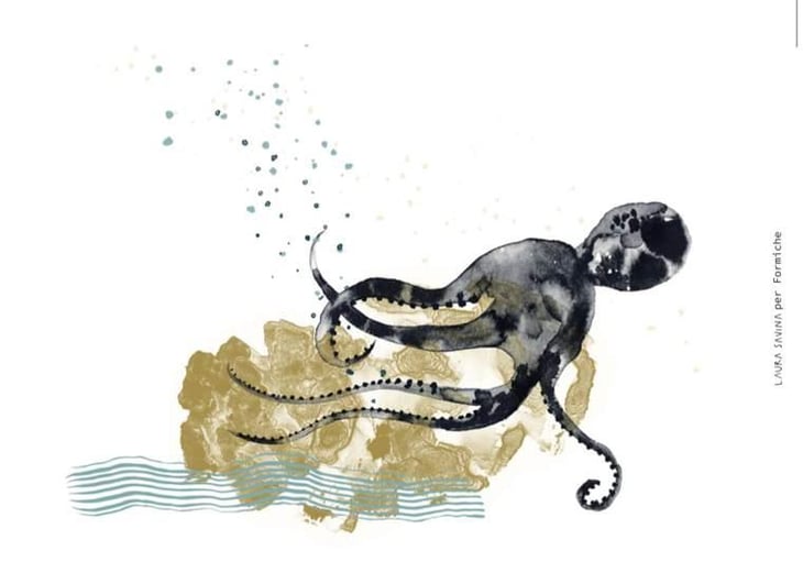 Ansonica - Formiche - simone-gigi-dylan-simone 