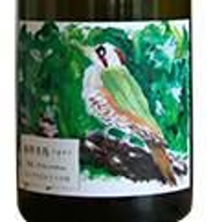 Aogera / 緑啄木鳥（あおげら） - Sakai Winery - Birdup Wine - 酒井ワイナリー - ippei-sakai 