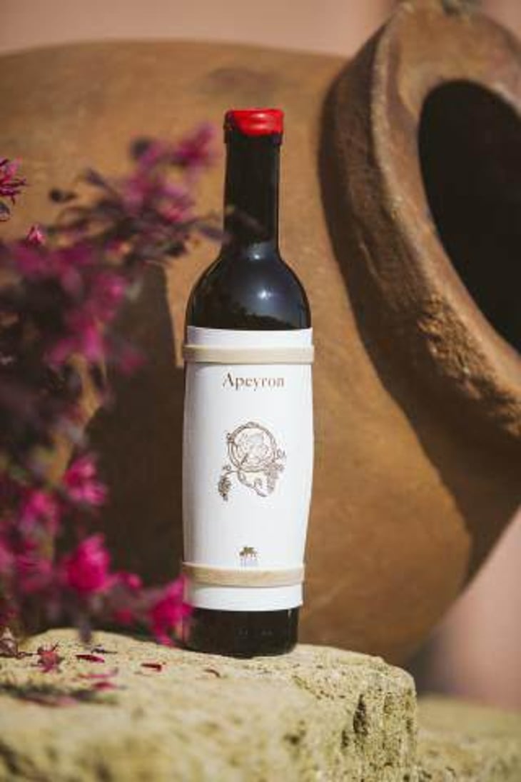 Apeyron - Villa Venti - mauro-giardini 