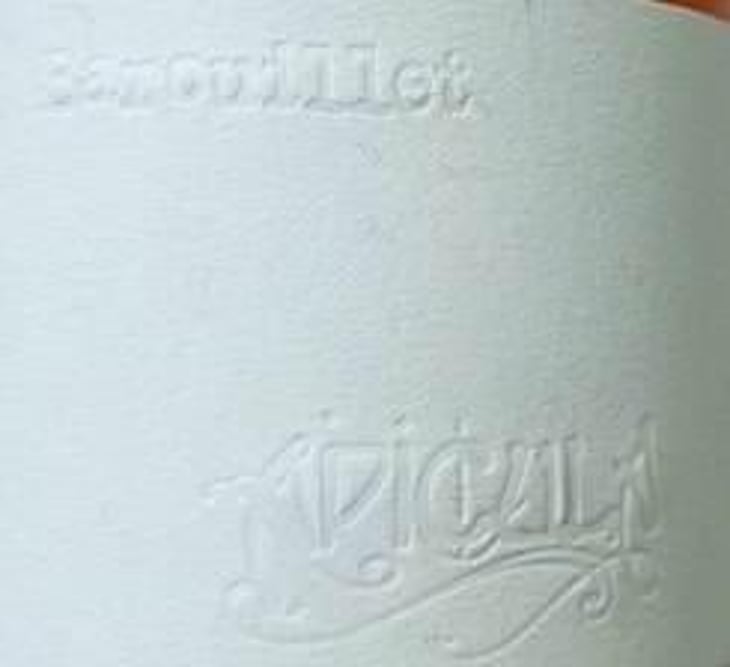 Apicula (Liquoreux) - Château Barouillet - vincent-alexis 