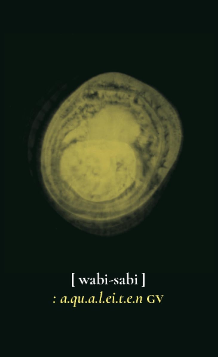 Aqualeiten GV - Wabi Sabi - franz-hofstatter -2019