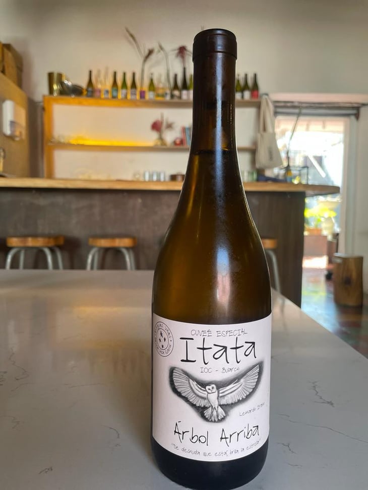 Árbol Arriba - A Los Viñateros Bravos / Onda Brava - leonardo-erazo 