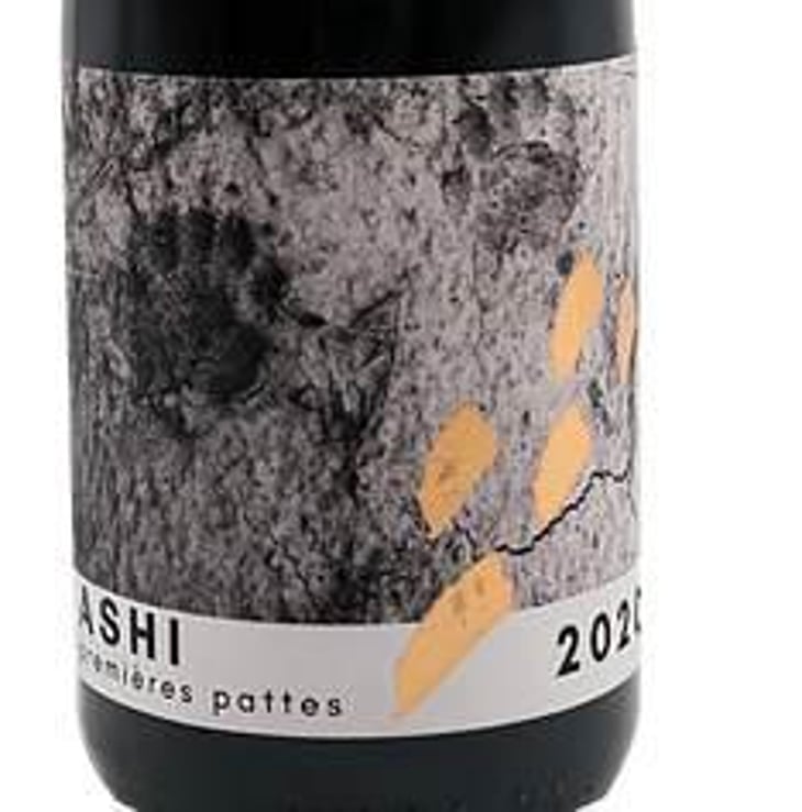 Ashi - Premieres Pattes - Château Terre Fauve - morgane-jouan-nicolas-baudet 