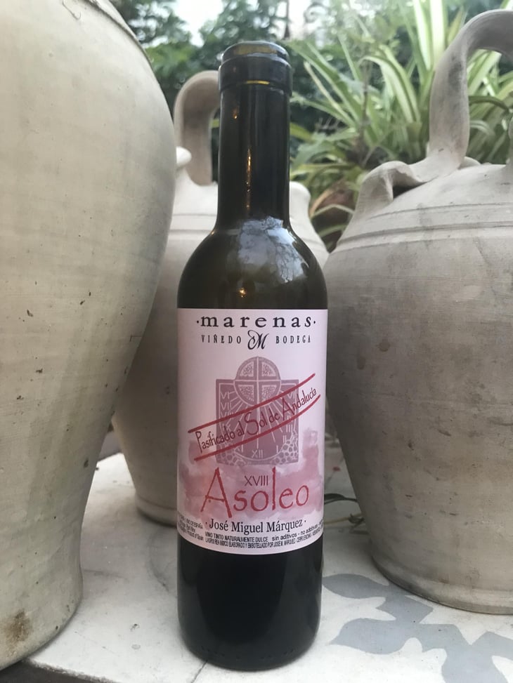 Asoleo Syrah - Marenas Viñedo y Bodega - jose-miguel-marquez-herrador -2018