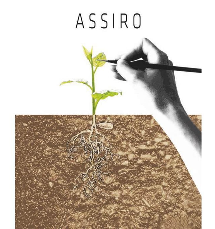 Assiro - Clio Cicogni - clio-cicogni 