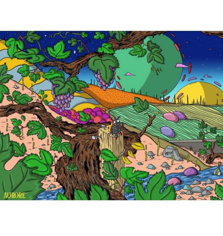 Aurore - Domaine De L’Enviegne - alexis-tondeur -2021