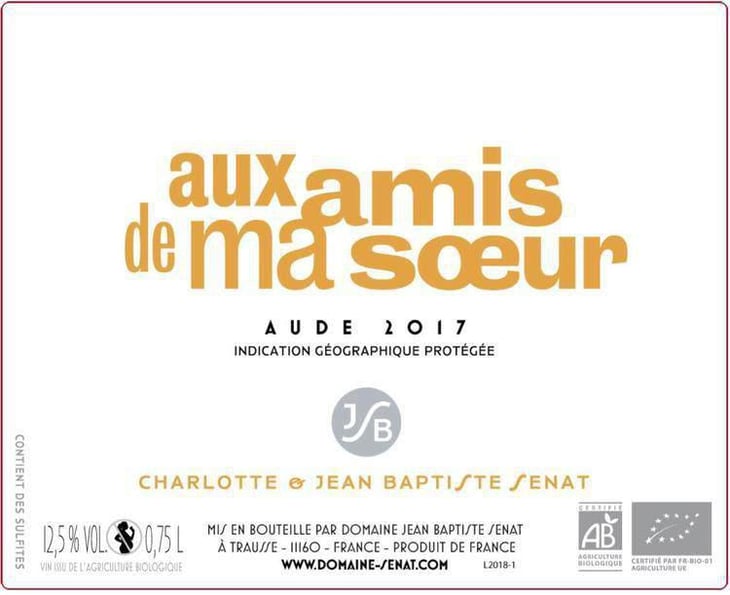 Aux Amis De Ma Sœur - Jean-Baptiste Senat - charlotte-jean-baptiste-senat 