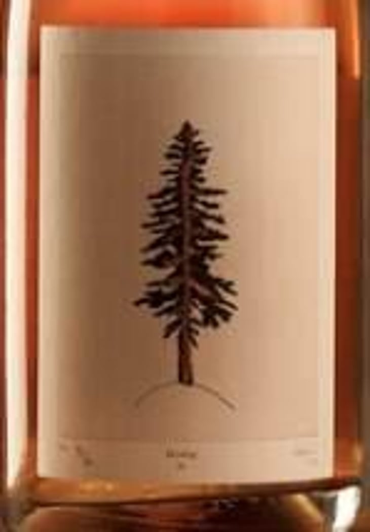 Bambine Brut (2).0 - Pinard et Filles - frederic-simon-catherine-belanger 