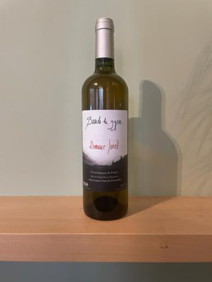 Bande de gypse - Domaine Jorel - manuel-jorel -2021