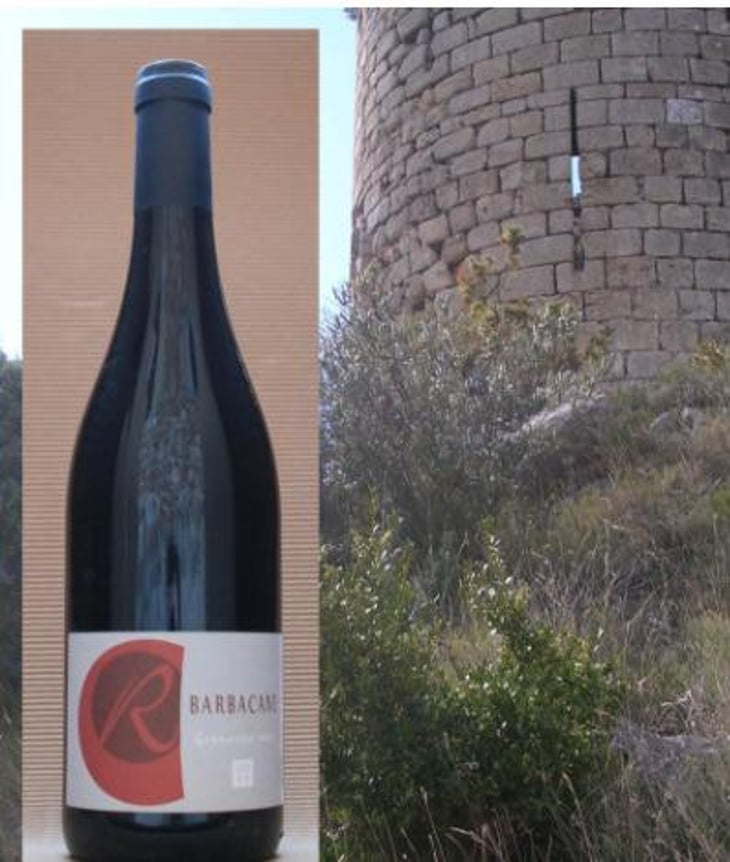 Barbacane - Domaine Rouaud - jerome-et-sophie-rouaud -2021