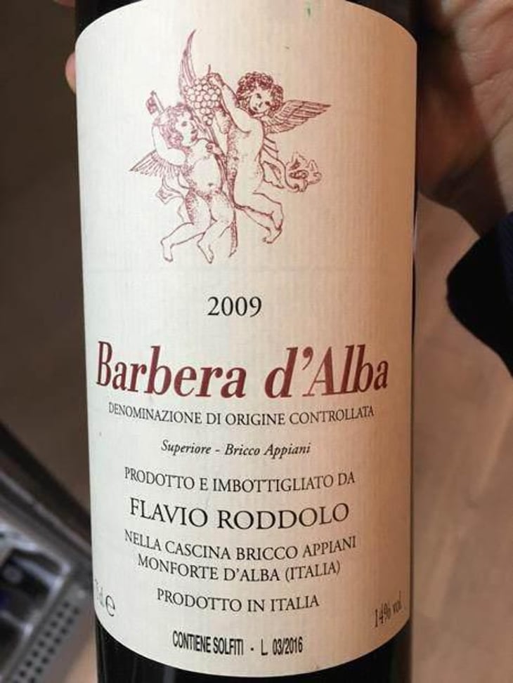 Barbera d'Alba - Azienda Vitivinicola Flavio Roddolo - flavio-roddolo 
