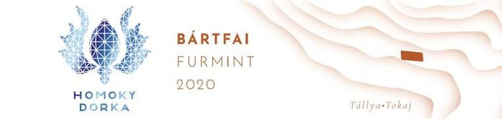 Bártfai - Homoky Dorka - dorka-homoky 