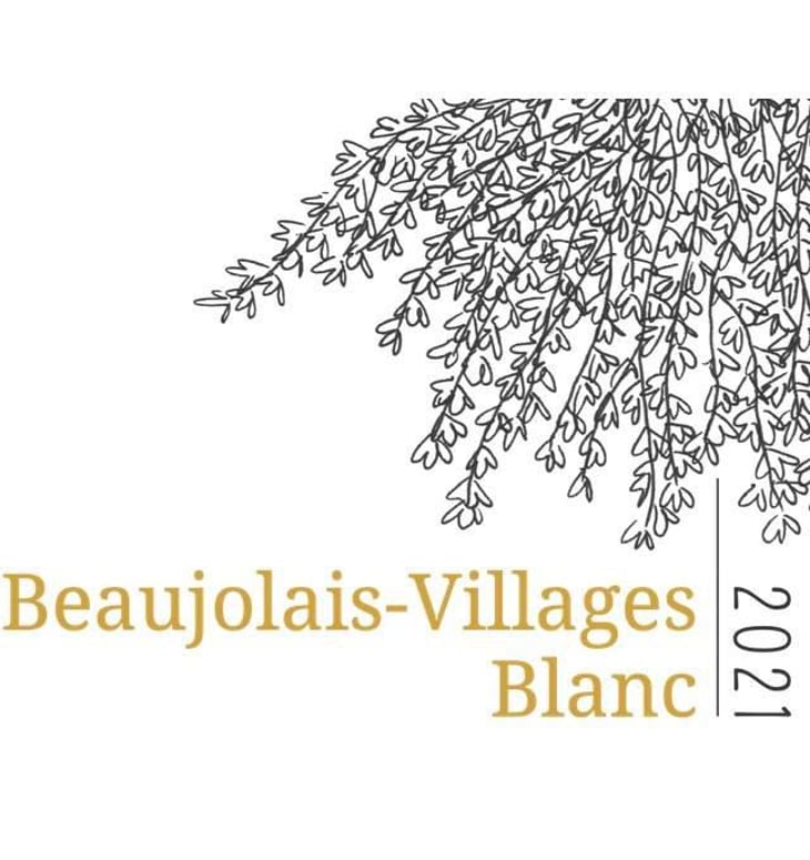Beaujolais Villages Blanc - Domaine Lachat - anne-lekkerkerker 