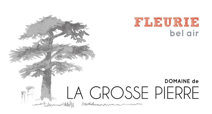 Fleurie Bel-Air - Domaine de La Grosse Pierre - pauline-passot 