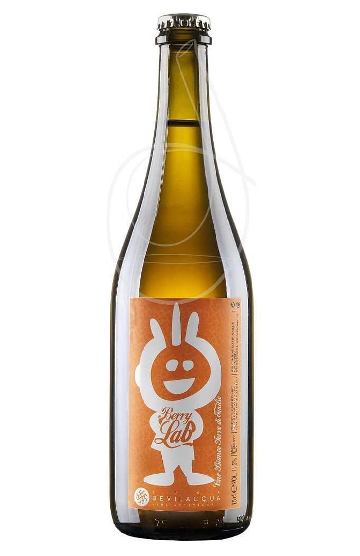 BERRY LAB - Luca Bevilacqua Vini Artigianali - luca-bevilacqua 